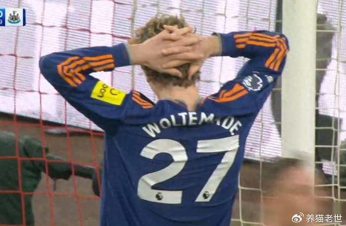 纽卡斯尔花了大价钱，却找不到他的位置，沃尔特马德成战术黑洞|中锋|英超|埃尔林-哈兰德|沃尔特·曾加|斯图加特_新浪体育_新浪新闻